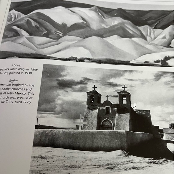 Barnes & Noble Georgia O'Keeffe Art Book - Blue and Cream - Picture 4 of 12